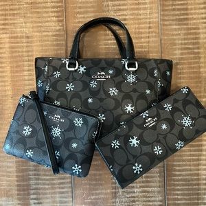 Coach 2022 winter snowflake handbag/wallet/wristlet set.